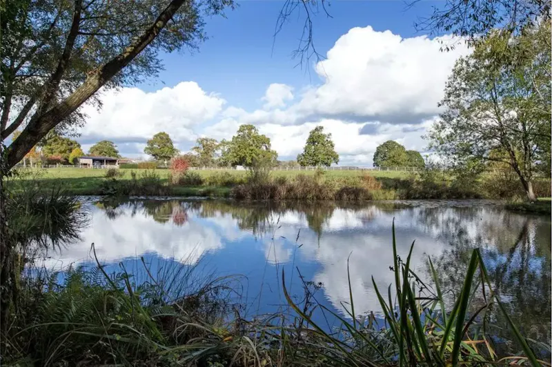 Stunning farmhouse Chiddingfold, D2615 (photo 15)