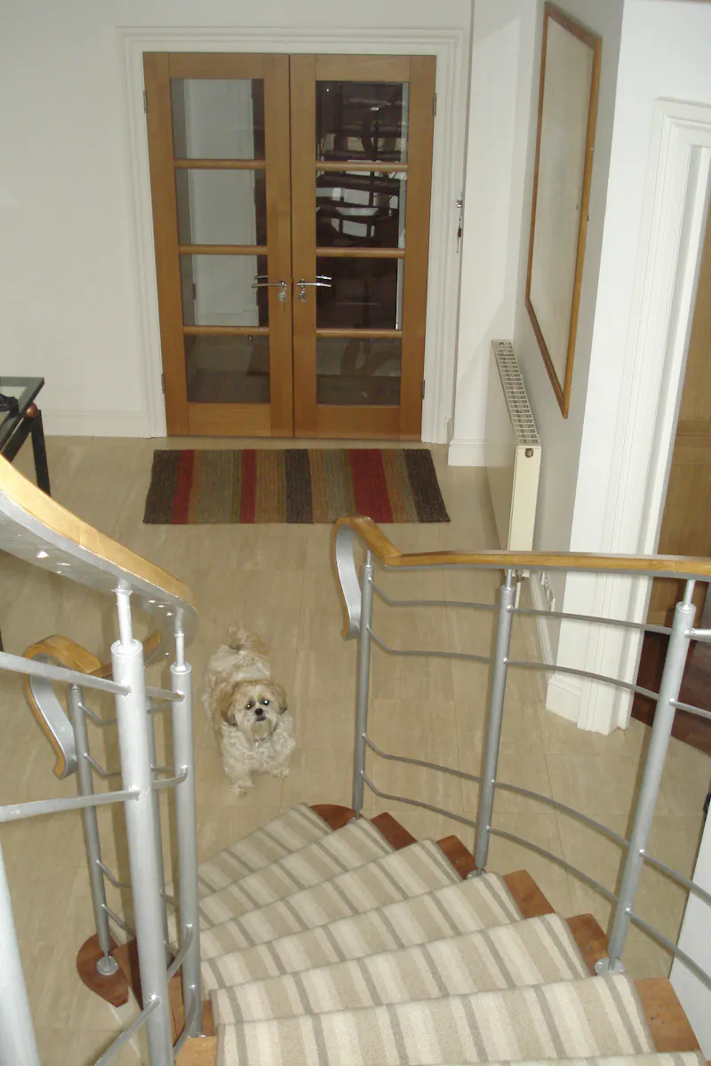 Entrance hall at Modern home in Bush Hill, D2620 (photo 11)