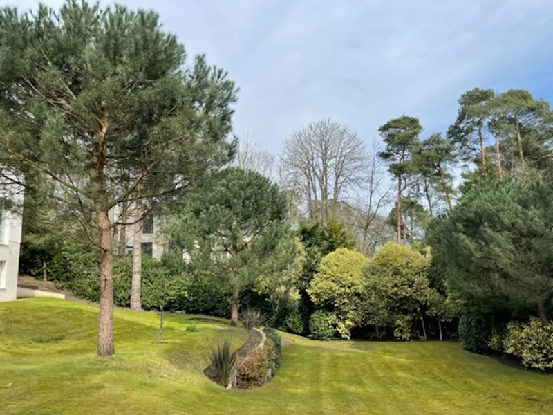 Weybridge mansion with pool, D2618 (photo 38)