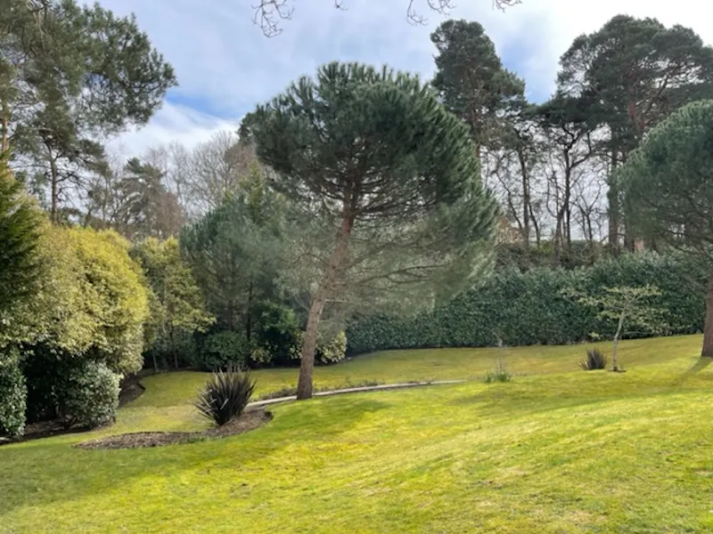 Weybridge mansion with pool, D2618 (photo 41)