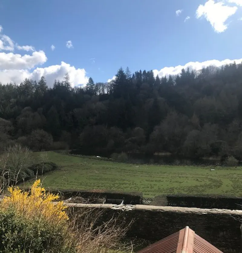 Woodland at Large Llanwrtyd Manor House, A1585 (photo 20)