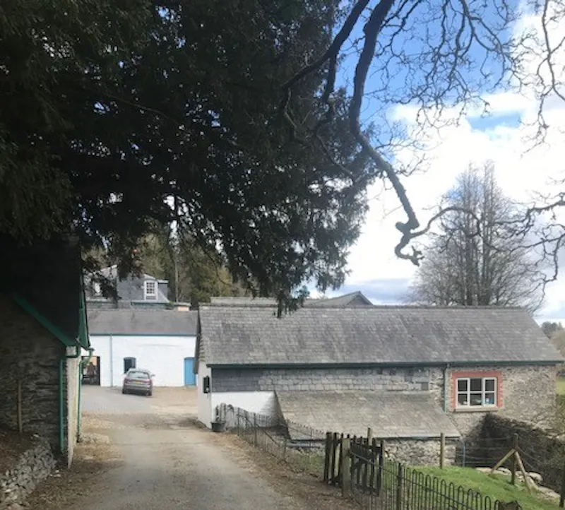 Large Llanwrtyd Manor House, A1585 (photo 29)