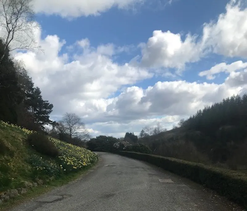 Large Llanwrtyd Manor House, A1585 (photo 34)