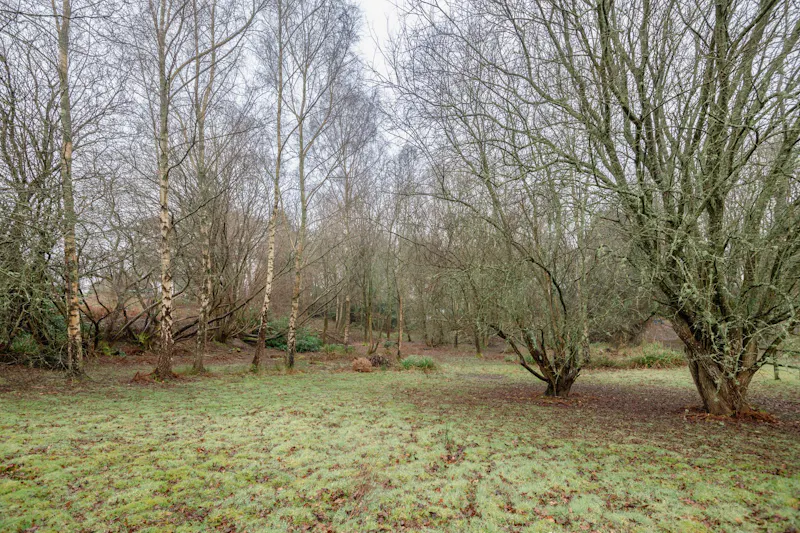 Minimalist home in Storrington, D2621 (photo 44)