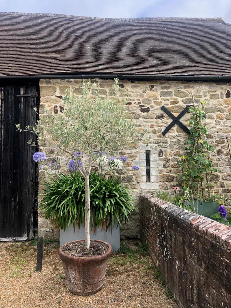 Pretty South Downs farmhouse, L403 (photo 37)