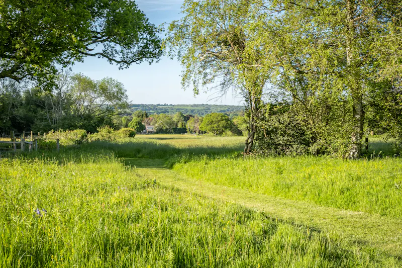 Views - country at Pretty South Downs farmhouse, L403 (photo 67)