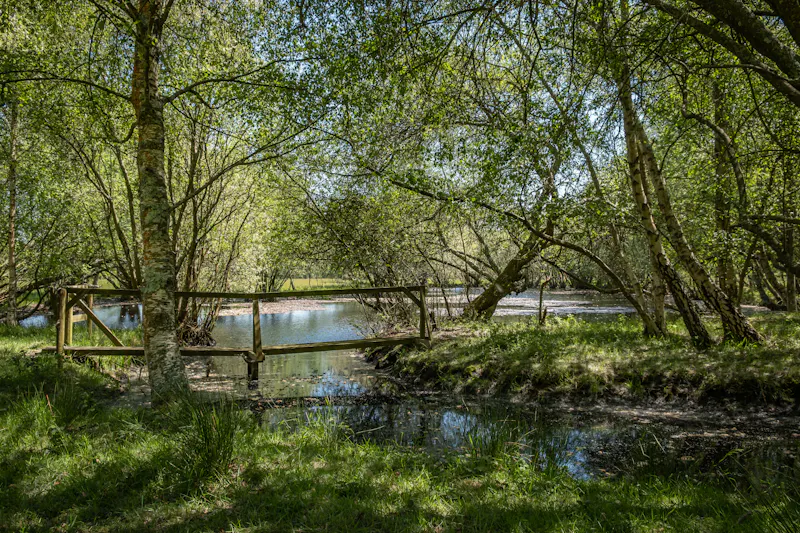 Lake at Pretty South Downs farmhouse, L403 (photo 62)