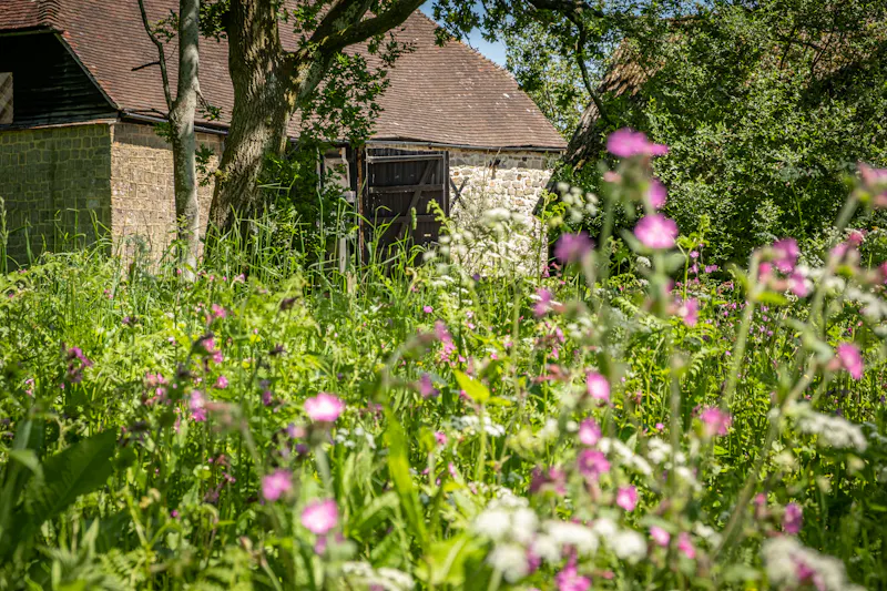 Pretty South Downs farmhouse, L403 (photo 60)