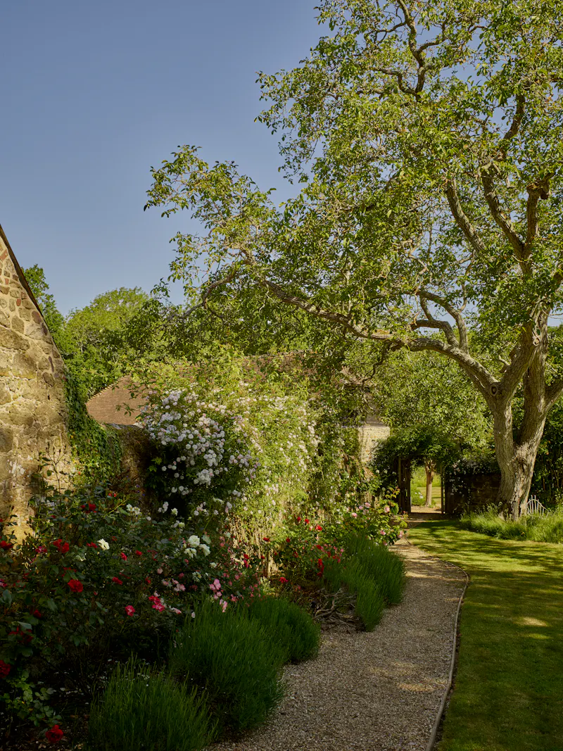 Pretty South Downs farmhouse, L403 (photo 77)