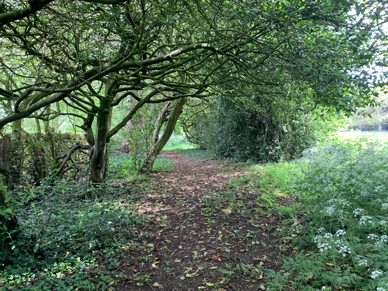 Woodland at Striking Cotswolds manor home , H187 (photo 17)