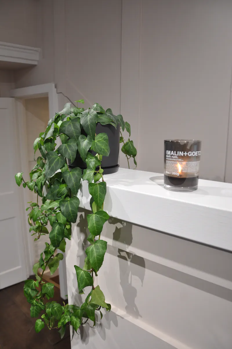 Salon in Spitalfelds, Shop45 (photo 12)