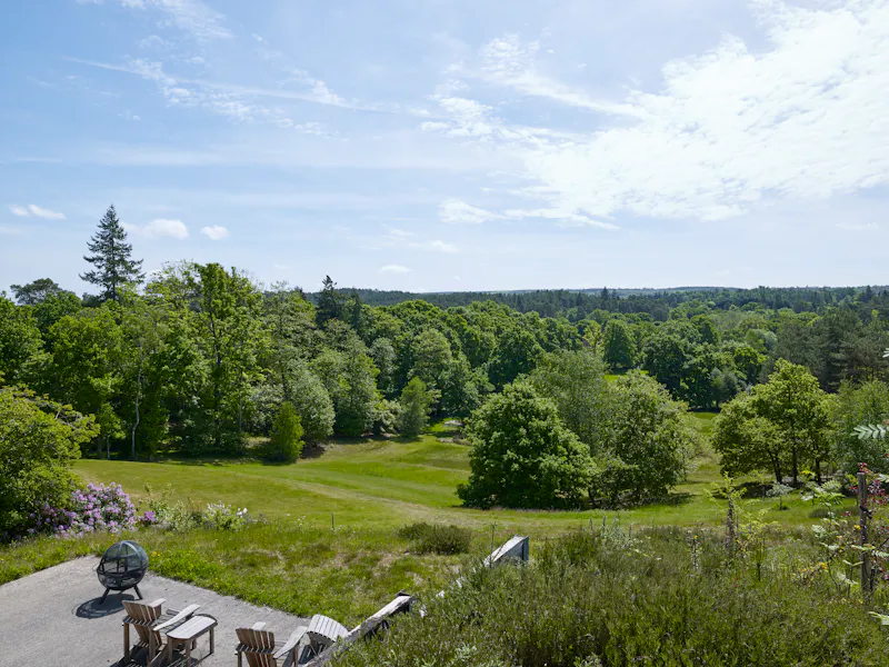 Woodland at White colonial  house in Churt, D2631 (photo 51)