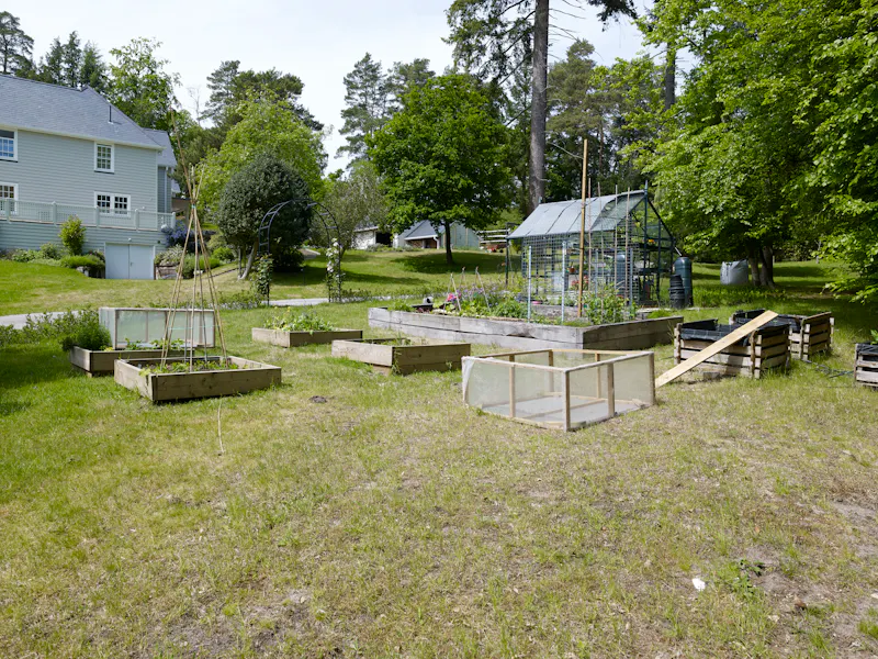Garden at White colonial  house in Churt, D2631 (photo 52)