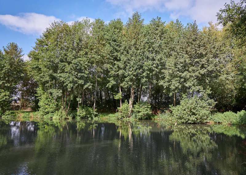 Lake at Barn complex Hambrook, D2635 (photo 60)