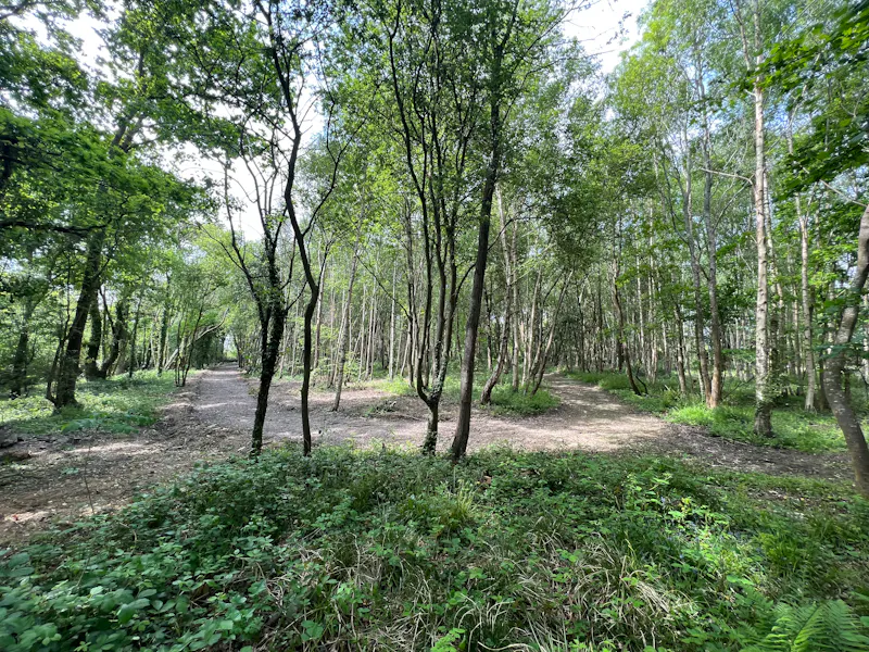 Barn complex Hambrook, D2635 (photo 66)