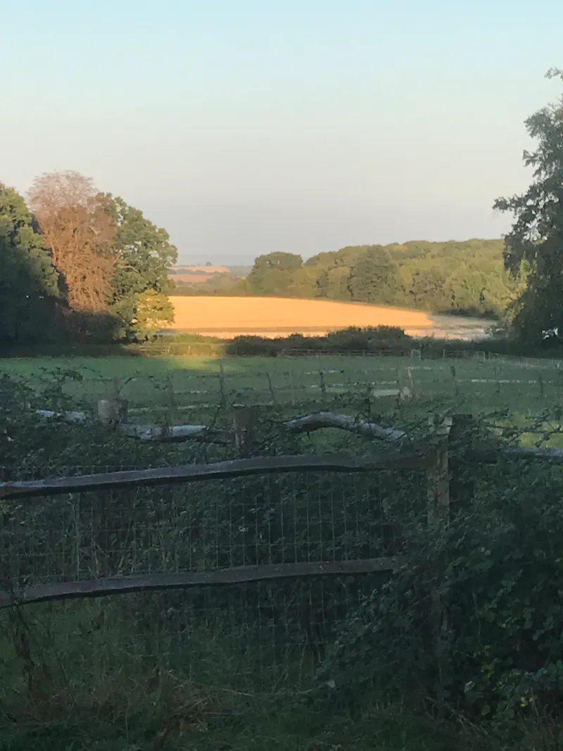 Countryside at Taunton Manor House, H1019 (photo 63)