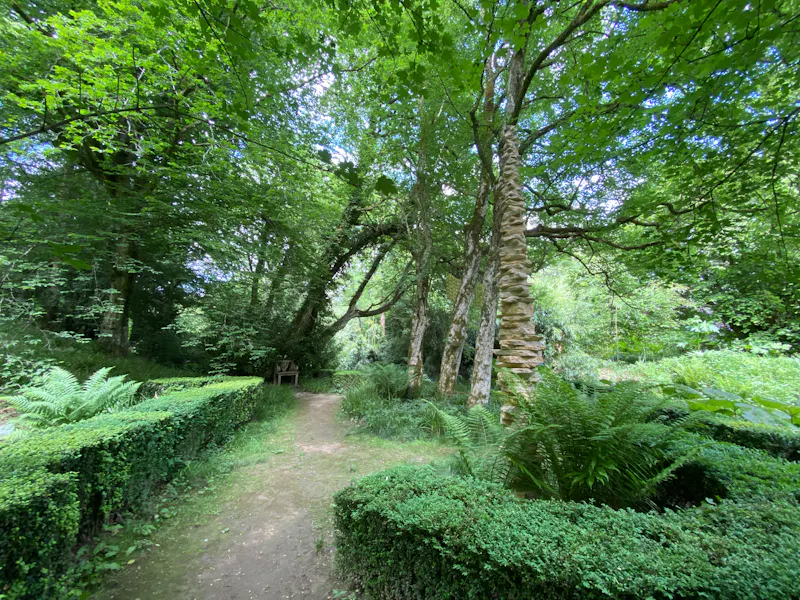 Woodland at Dorking cottage sculpture garden, C42 (photo 12)