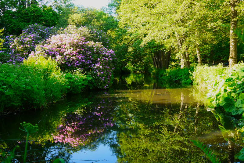 Pond at Dorking cottage sculpture garden, C42 (photo 7)