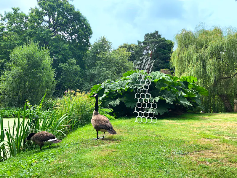 Dorking cottage sculpture garden, C42 (photo 10)