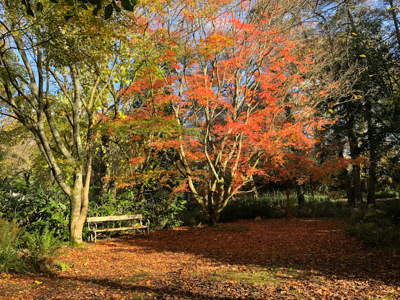 Dorking cottage sculpture garden, C42 (photo 20)
