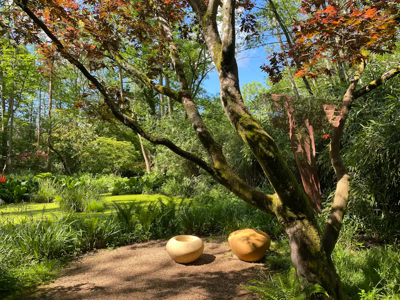 Dorking cottage sculpture garden, C42 (photo 13)