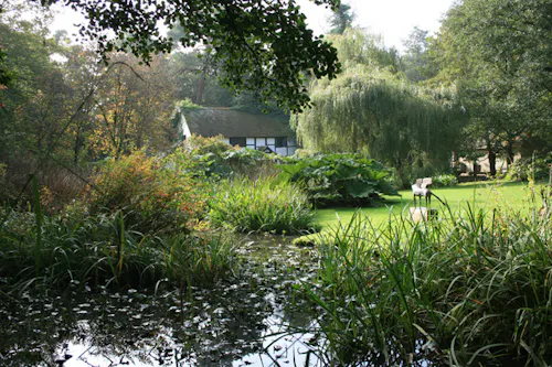 Dorking cottage sculpture garden, C42