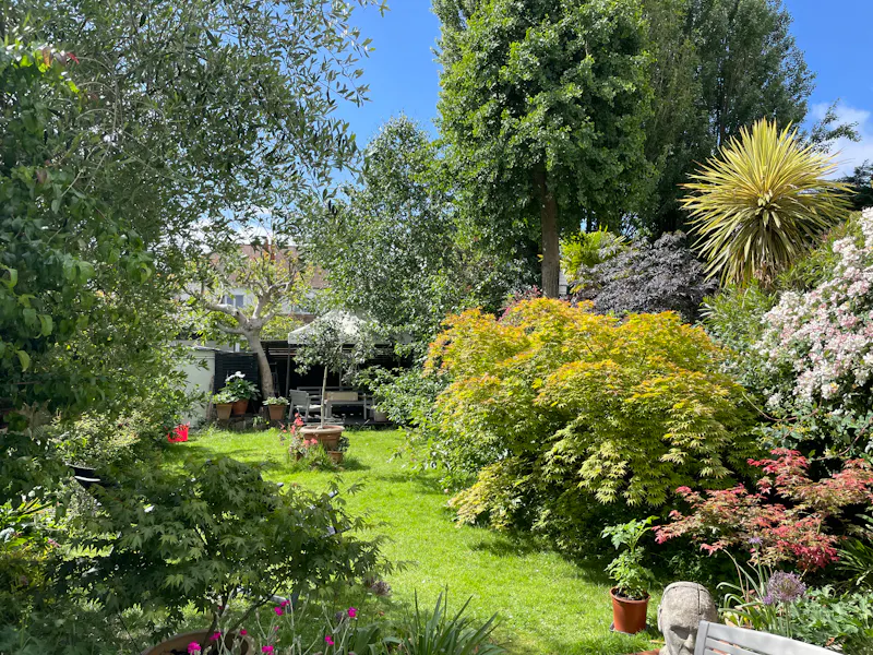 Garden at Streatham Hill family house, E499 (photo 34)
