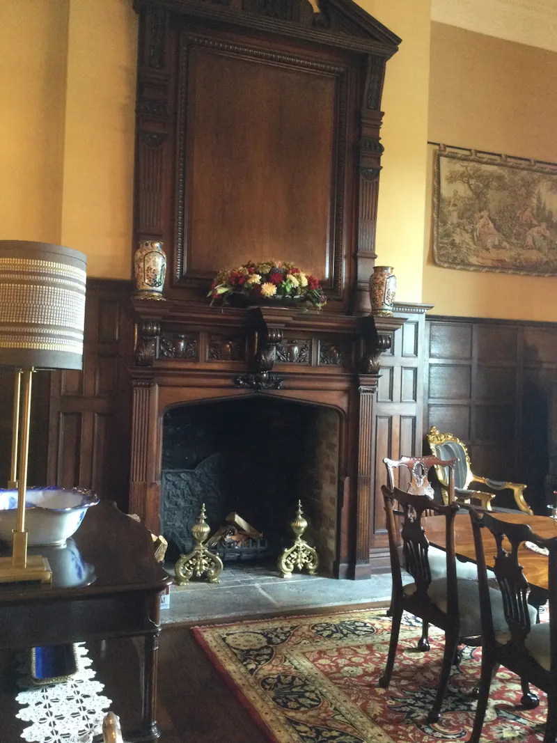 Fireplace at Ashton Country Manor Home, H188 (photo 11)