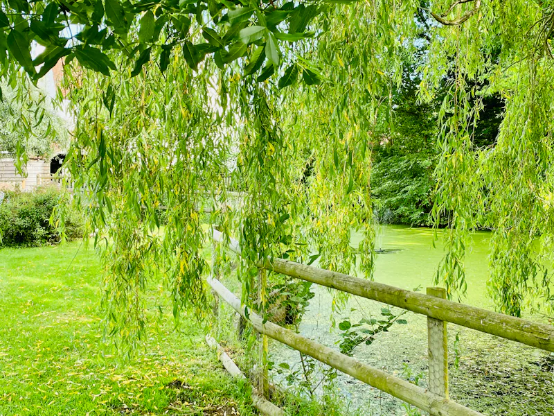 Woodchurch  Farmhouse, L733 (photo 53)