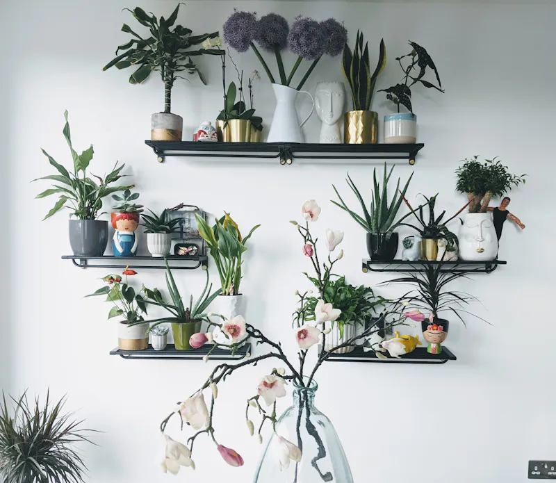 Quirky Crouch Hill Apartment , F123 (photo 5)