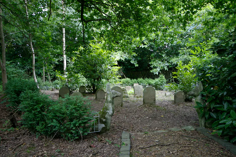 Garden - wild at Crawley Victorian country house, M329 (photo 33)
