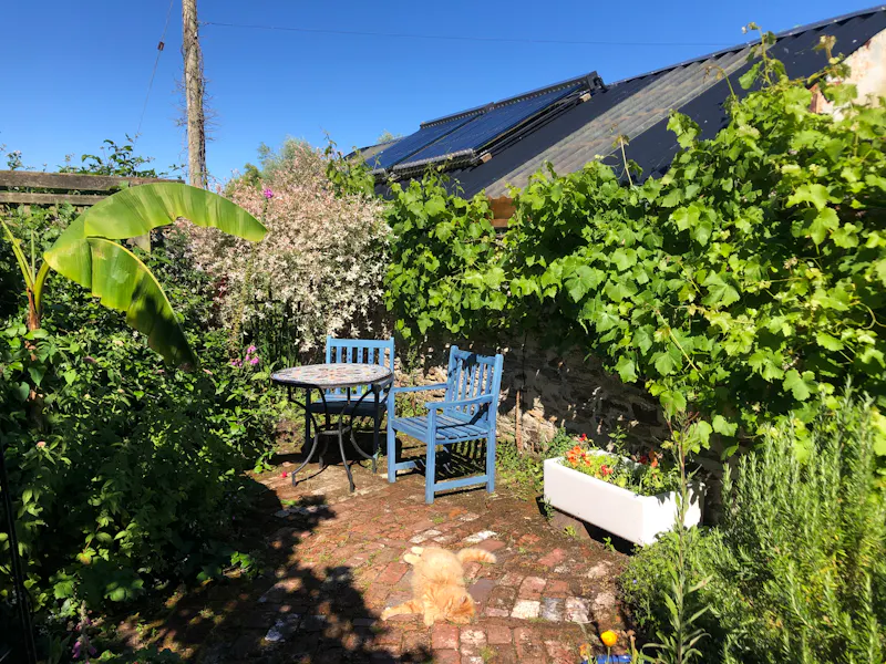 Garden at Farm house in Par, D2617 (photo 34)