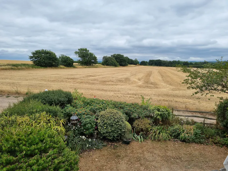 Secluded Cobham cottage, C927 (photo 13)