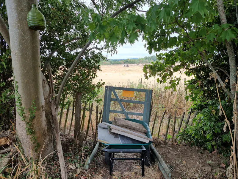 Secluded Cobham cottage, C927 (photo 16)