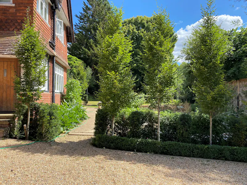 Edwardian Milford Vicarage, E507 (photo 32)