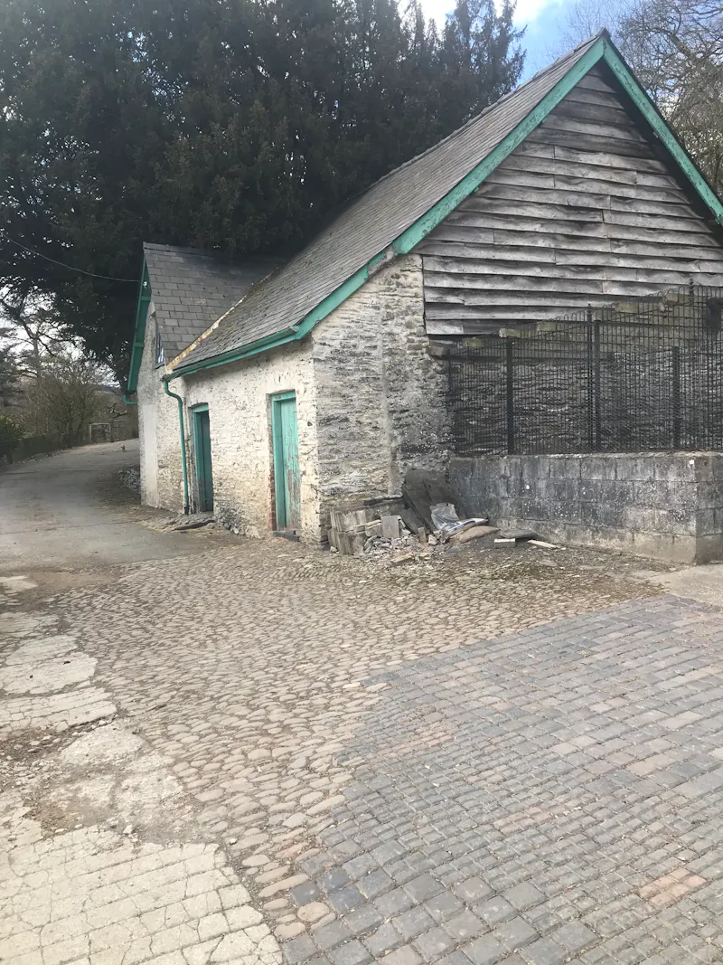 Large Llanwrtyd Manor House, A1585 (photo 28)