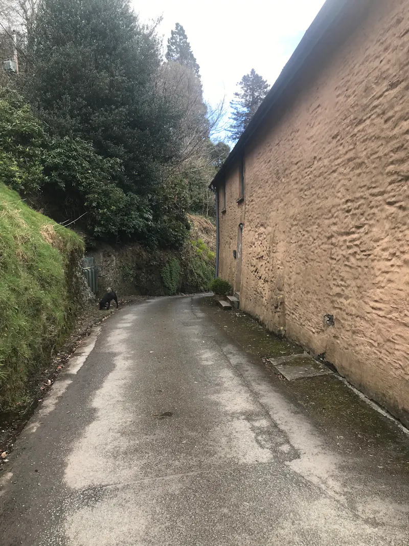 Large Llanwrtyd Manor House, A1585 (photo 27)