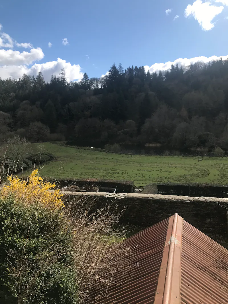 Large Llanwrtyd Manor House, A1585 (photo 22)