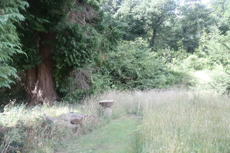 Stocksfield Gothic house, B1996 (photo 133)
