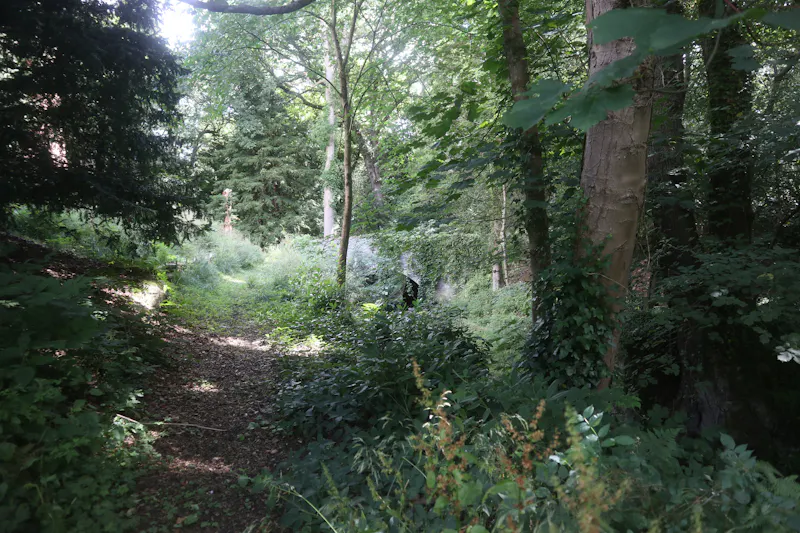 Stocksfield Gothic house, B1996 (photo 97)