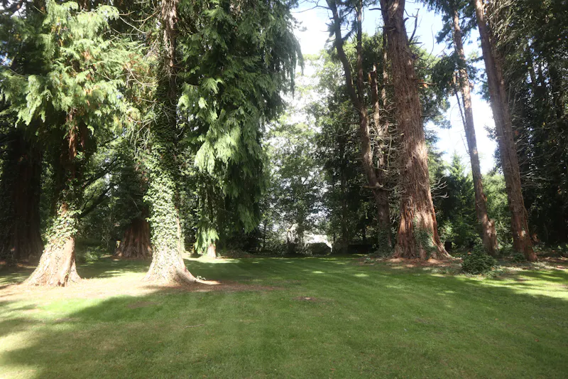 Views - country at Stocksfield Gothic house, B1996 (photo 121)