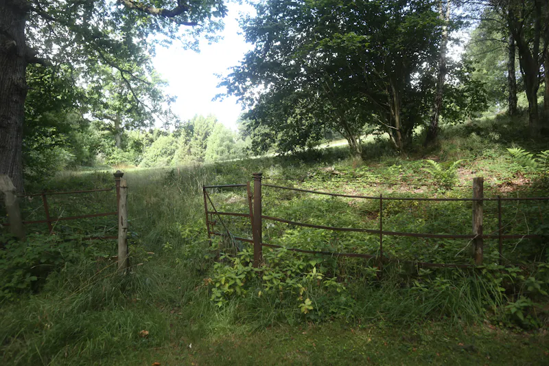 Stocksfield Gothic house, B1996 (photo 96)