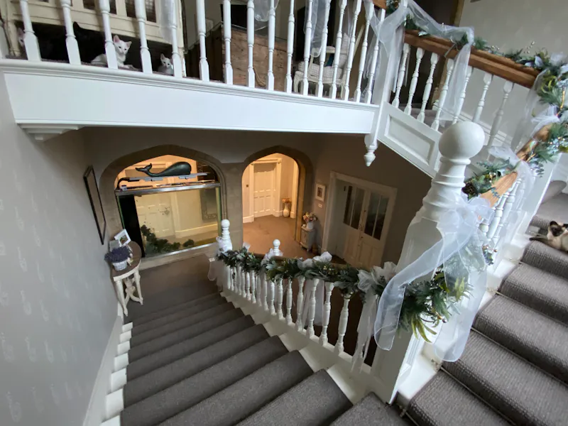 Staircase at Taunton Manor House, H1019 (photo 38)