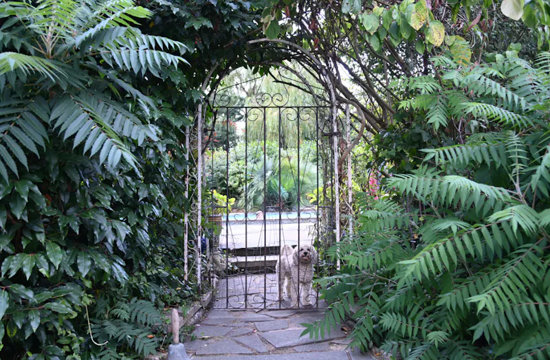Bohemian Basildon pool house, D2671 (photo 67)