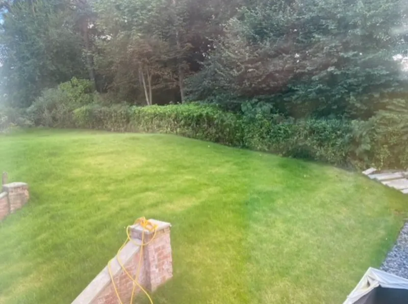 Prestbury Home, D2673 (photo 14)