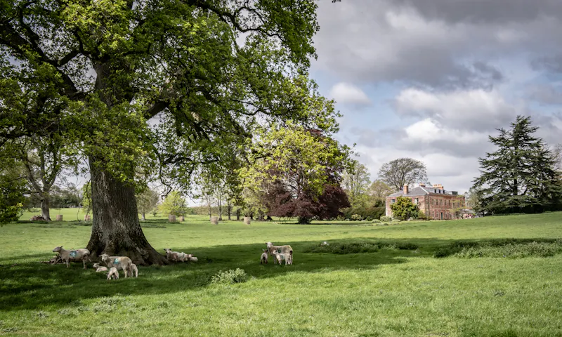 Bruton's Delightful Event Space, A1590 (photo 31)