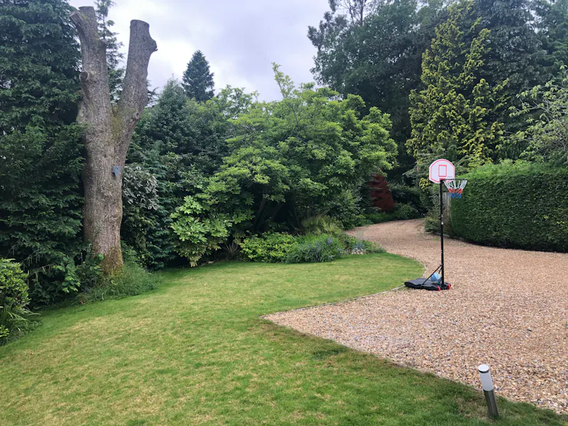 Light-Filled Haslemere  Home, D2682 (photo 46)