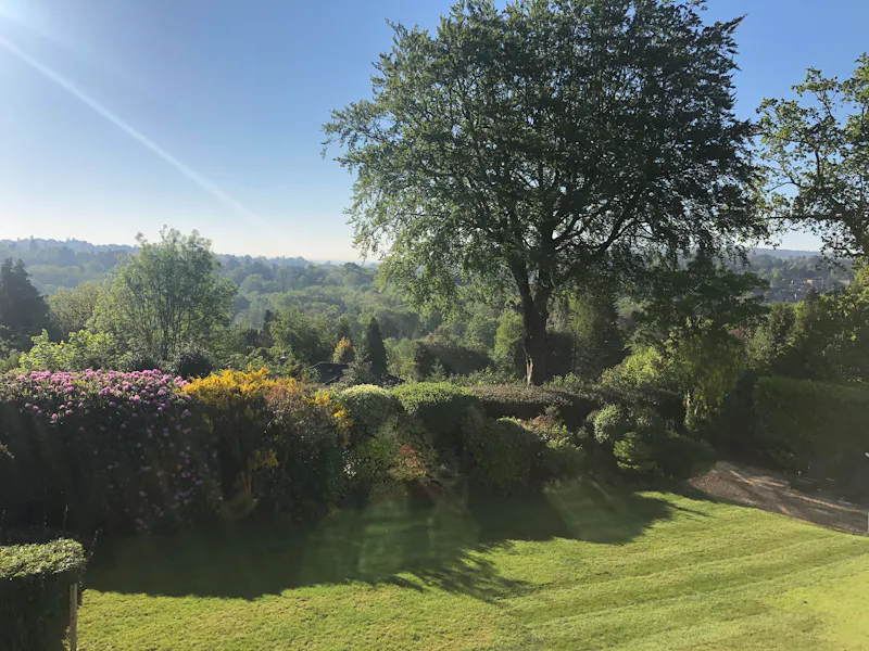 Woodland at Light-Filled Haslemere  Home, D2682 (photo 42)