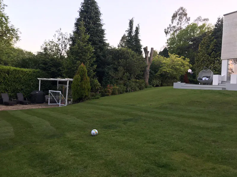 Garden at Light-Filled Haslemere  Home, D2682 (photo 33)