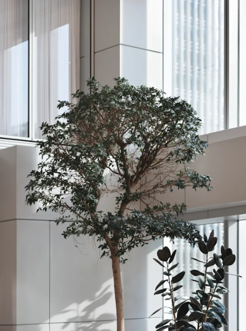 Canary Wharf workspace, T175 (photo 3)